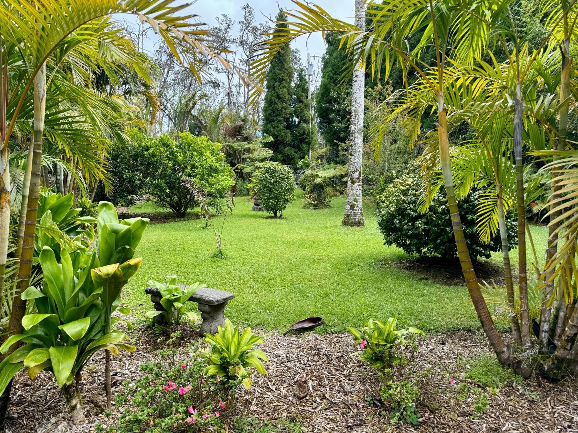 Aloha Junction Bed And Breakfast -Minutes Away From Hawaii Volcanoes National Park Extérieur photo