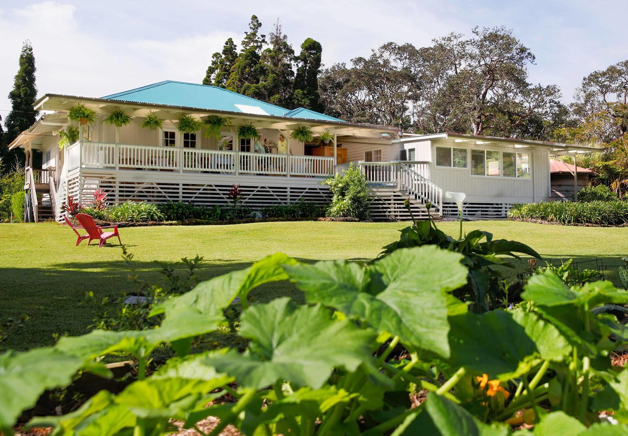 Aloha Junction Bed And Breakfast -Minutes Away From Hawaii Volcanoes National Park Extérieur photo